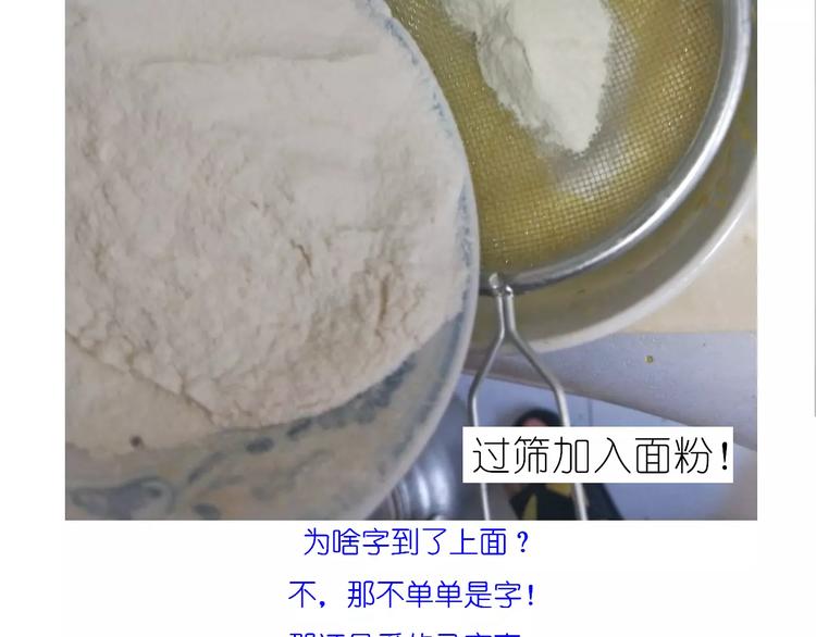 动物蛋糕卷11