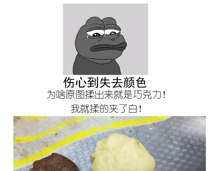 小仙女的布朗熊饼干16