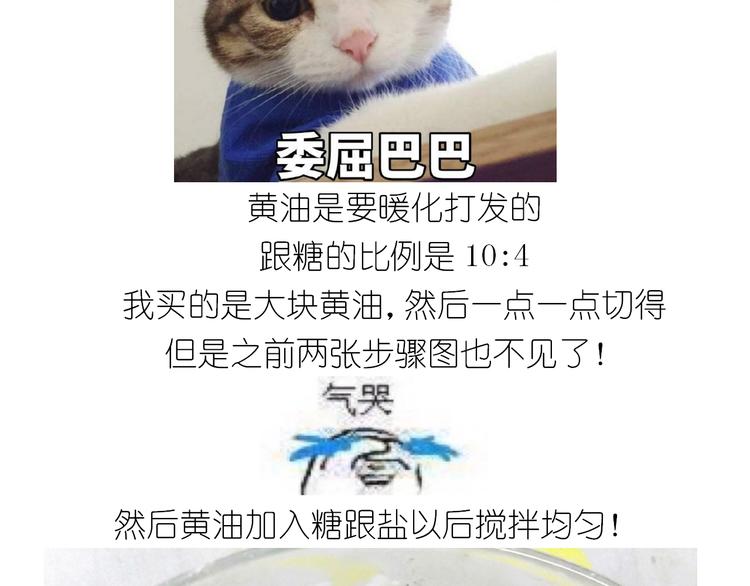 仙女全麦兔仓鼠饼7