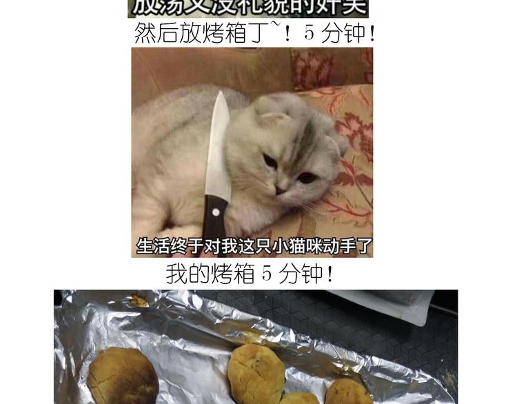 仙女蔓越莓奶酥25