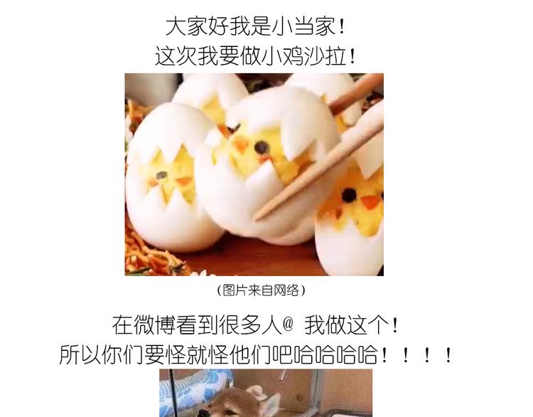 小鸡沙拉0