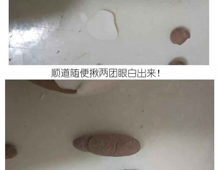 小绵羊面包36