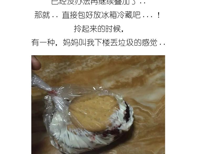 饼干蛋糕12