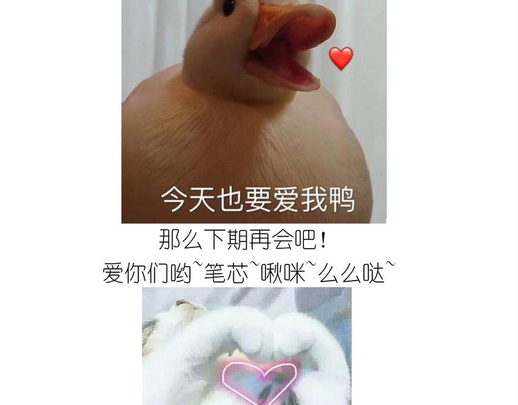 仙女蔓越莓奶酥32