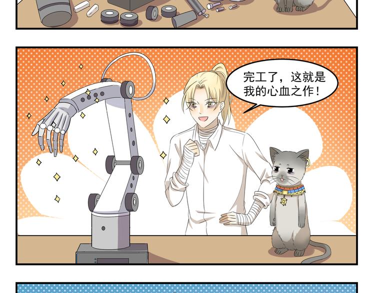 第430话  猫咪习性7