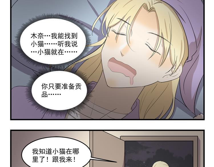 第423话 寻猫启事8