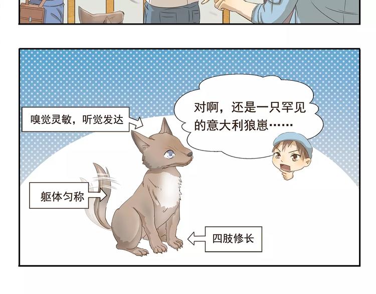 第33话 开罗动物园5