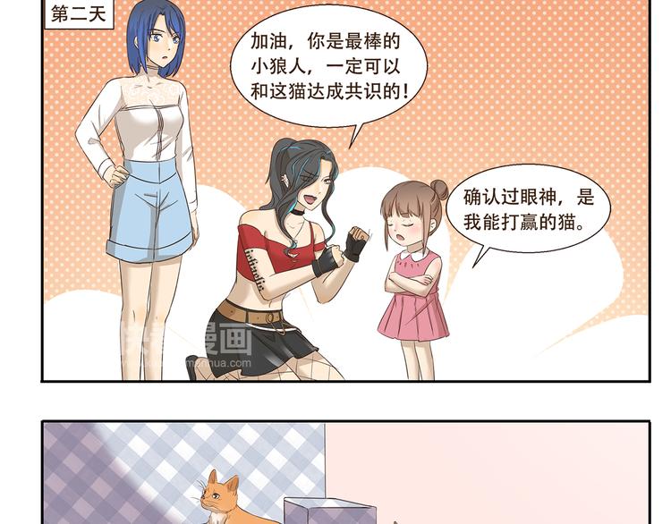 第170话 猫界时尚大师8