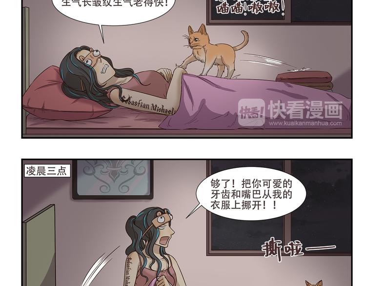 第170话 猫界时尚大师3