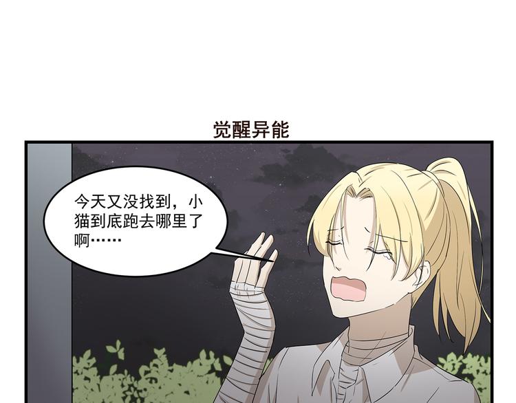 第423话 寻猫启事6