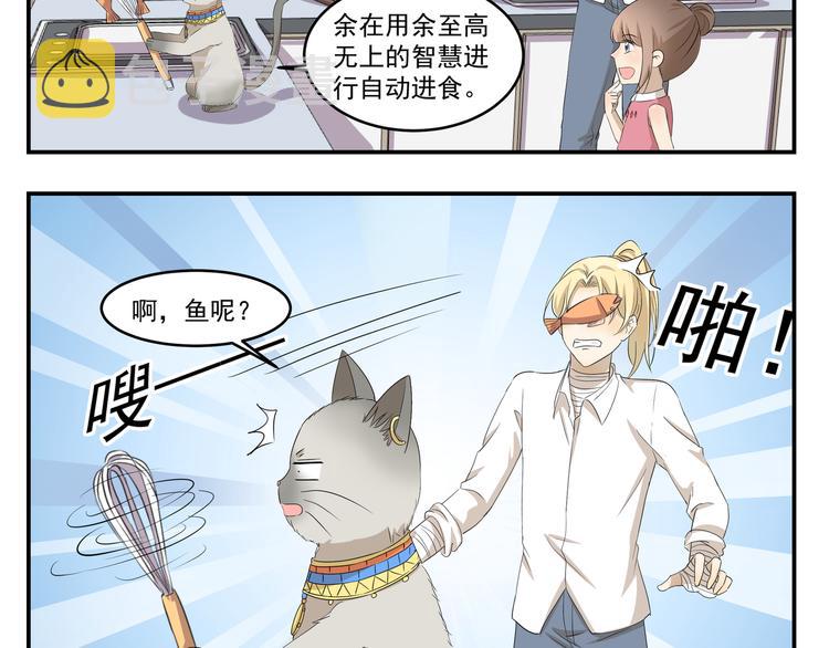 第430话  猫咪习性4