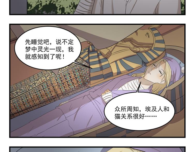 第423话 寻猫启事7