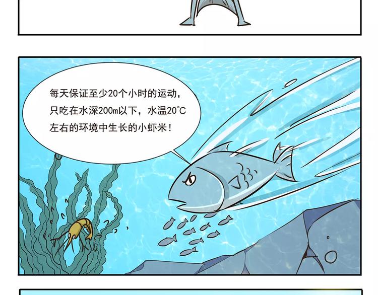 第13话 钓小龙虾7
