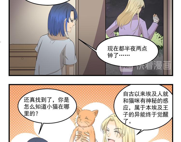 第423话 寻猫启事9