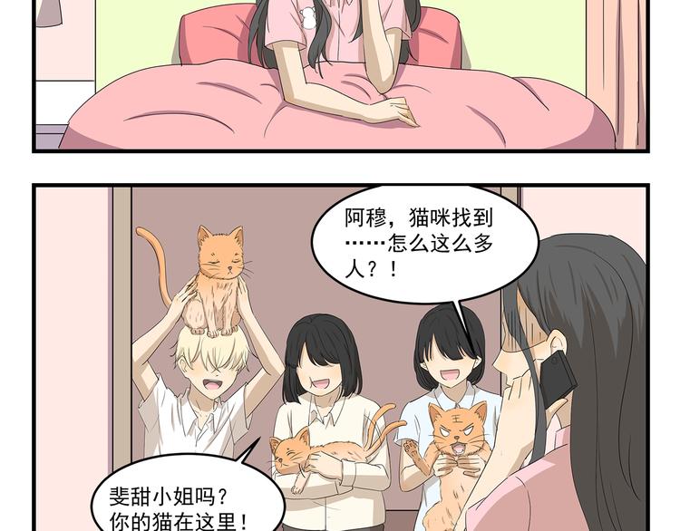 第423话 寻猫启事4