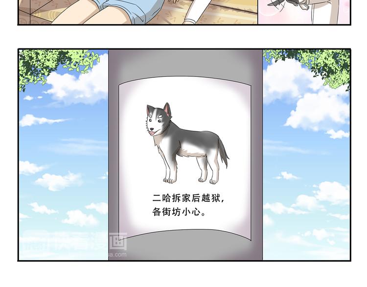 第255话 拆家警告5