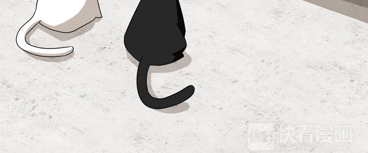 第3话 楼下喂猫的他56