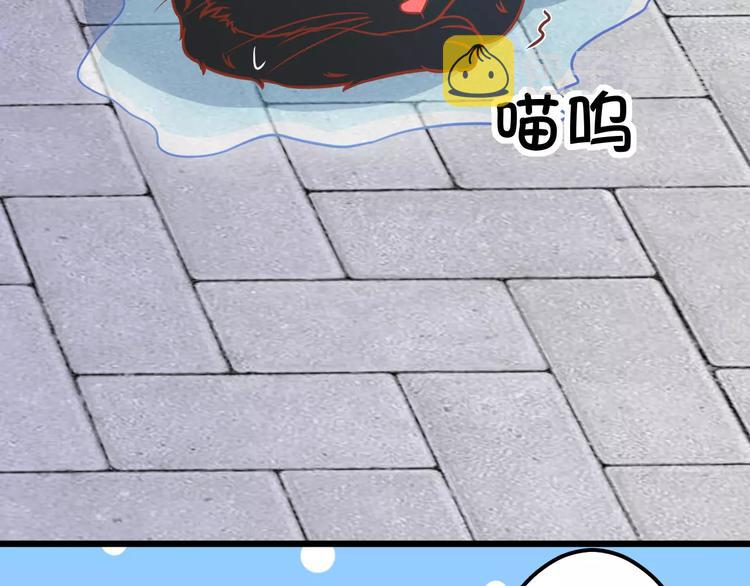 第13话 流浪猫69