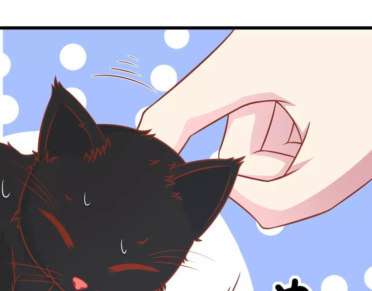 第13话 流浪猫74