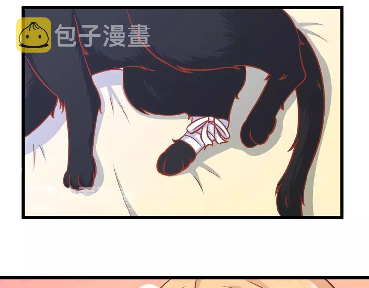 第13话 流浪猫95