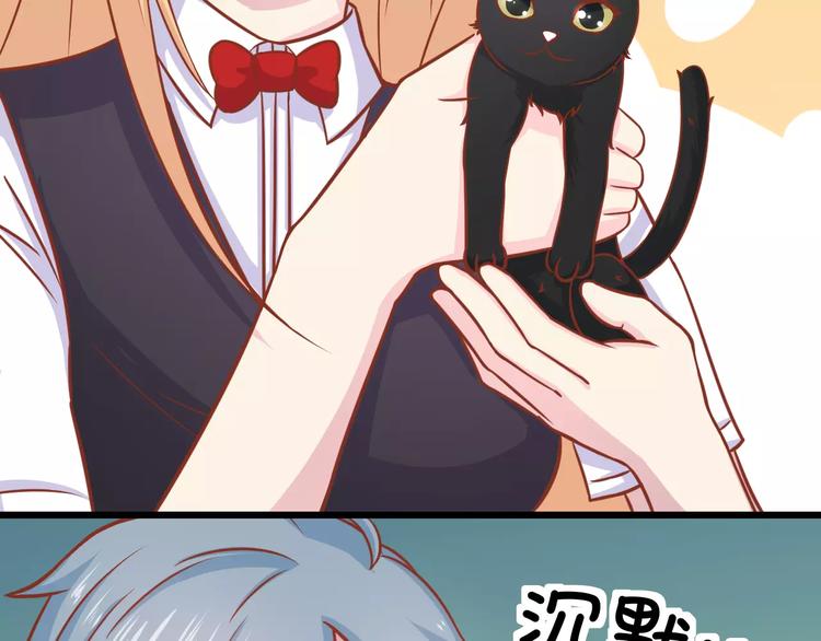 第13话 流浪猫102