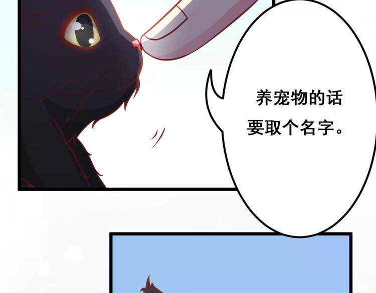 第13话 流浪猫115