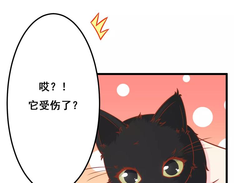 第13话 流浪猫80