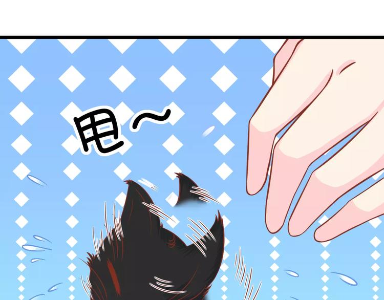第13话 流浪猫88