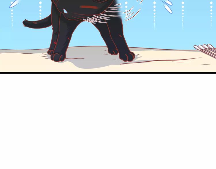 第13话 流浪猫89