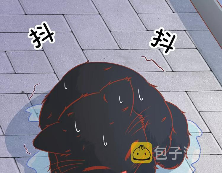 第13话 流浪猫68