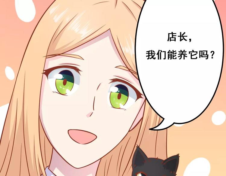 第13话 流浪猫101