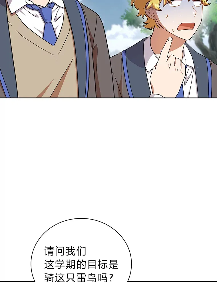35.简单的骑马课程41