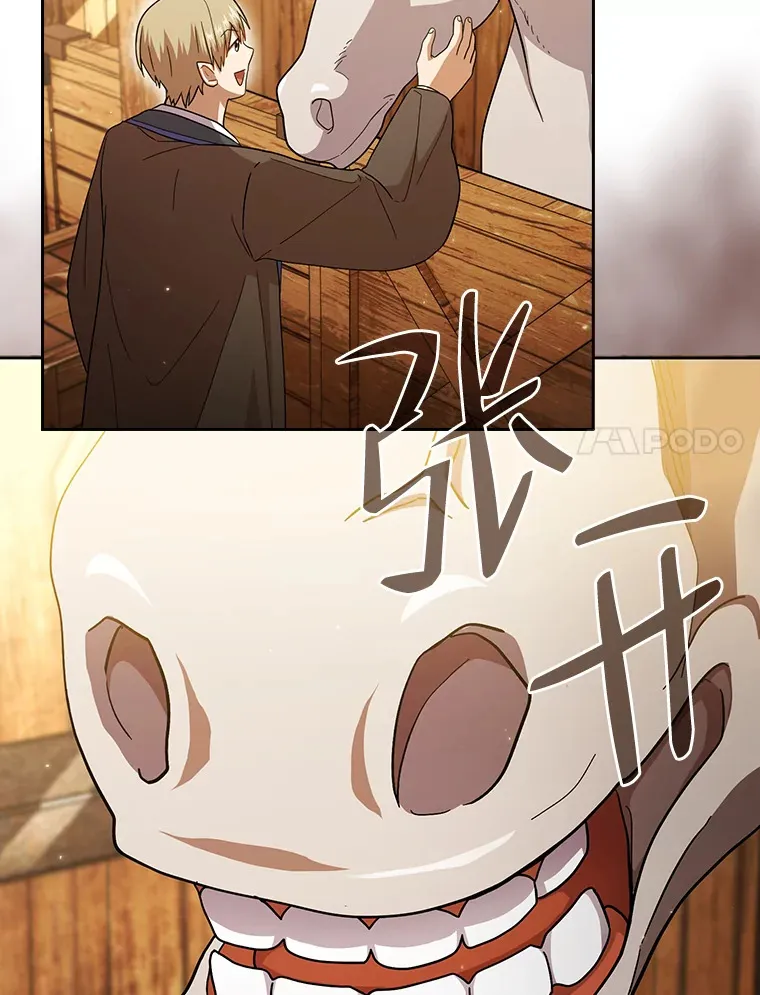 35.简单的骑马课程105