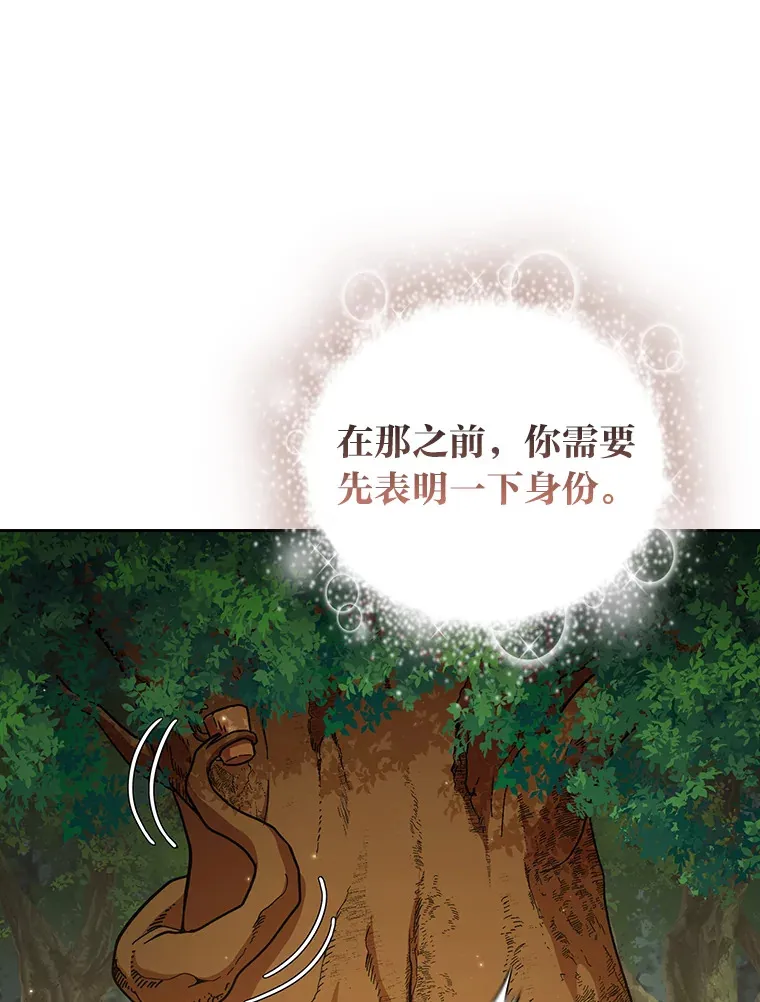 29.树精灵76