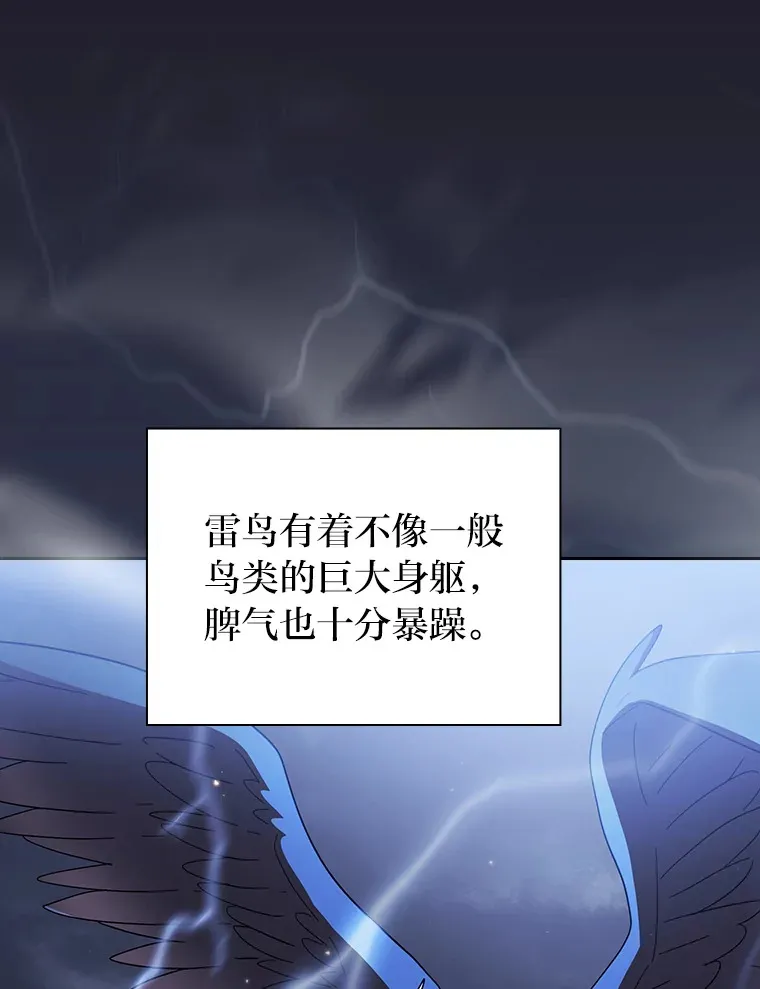 35.简单的骑马课程37