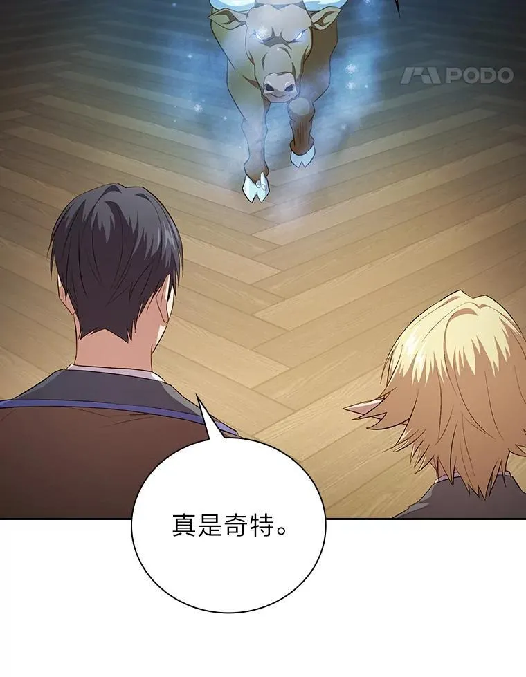 79.精灵黄牛53