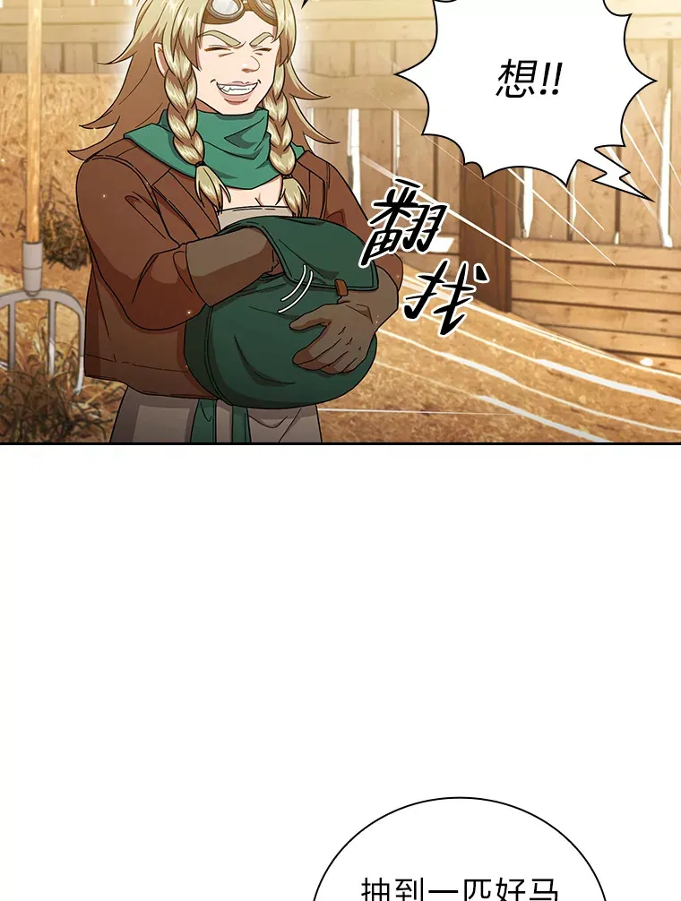 35.简单的骑马课程81