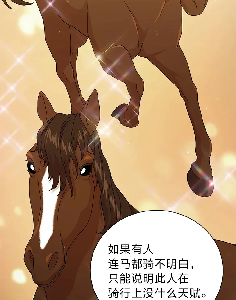 35.简单的骑马课程61