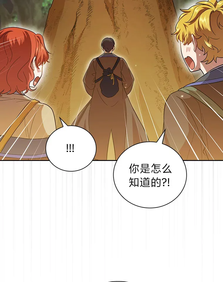 29.树精灵46