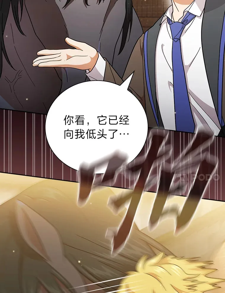 35.简单的骑马课程95