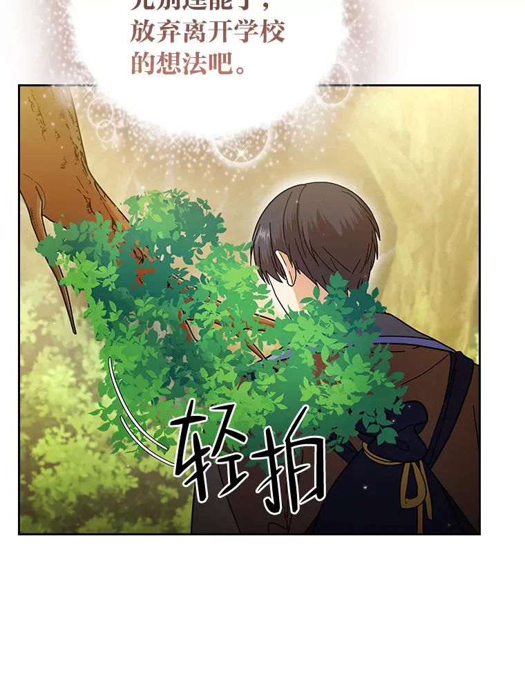 29.树精灵102