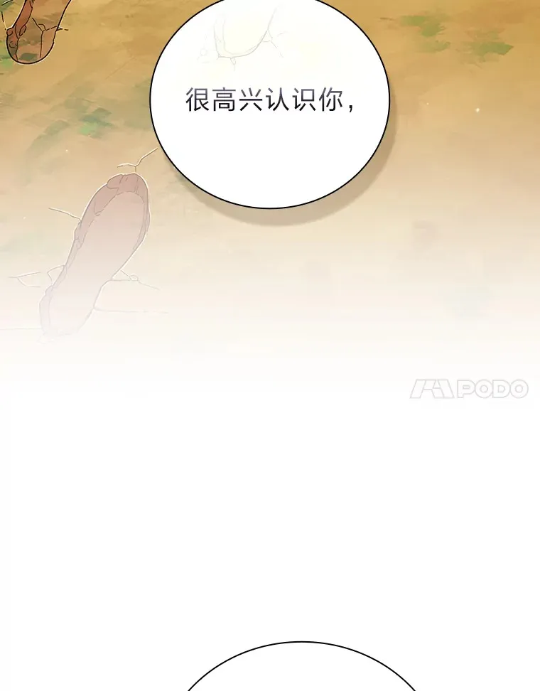 31.弗里辛加教团94