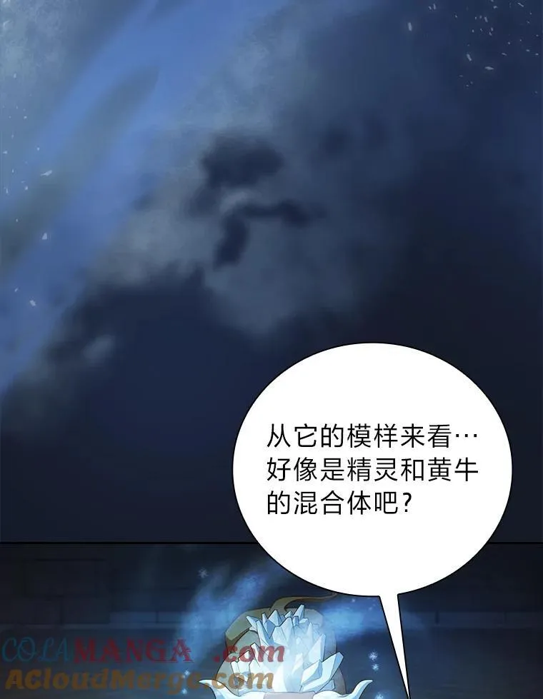 79.精灵黄牛52
