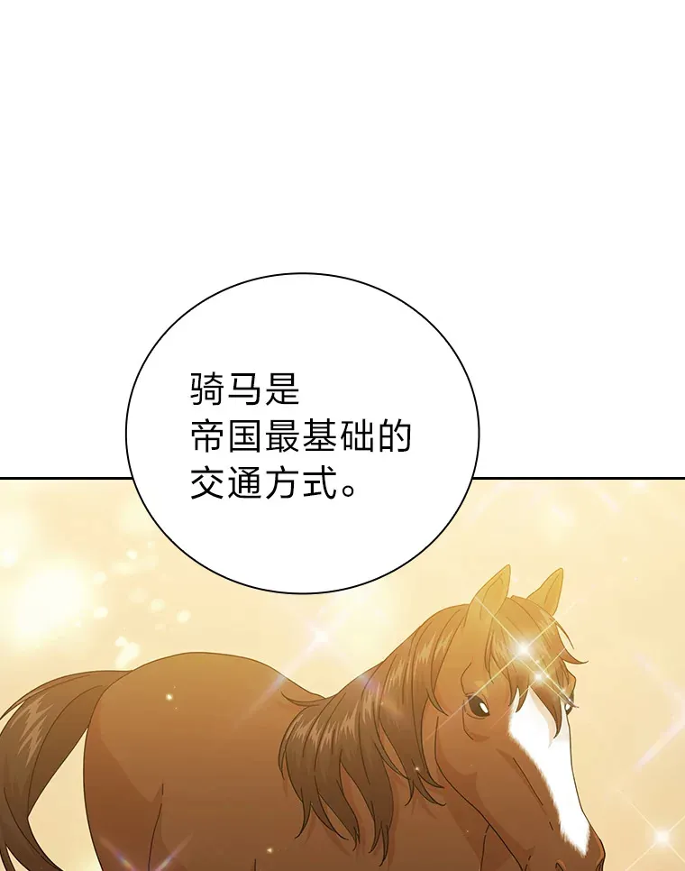 35.简单的骑马课程60