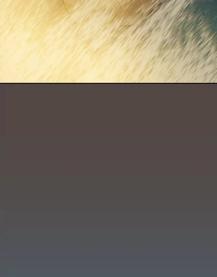 62.急转直下111