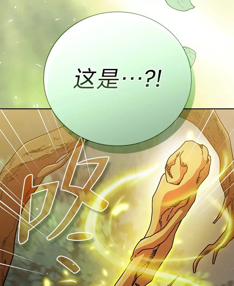 29.树精灵118