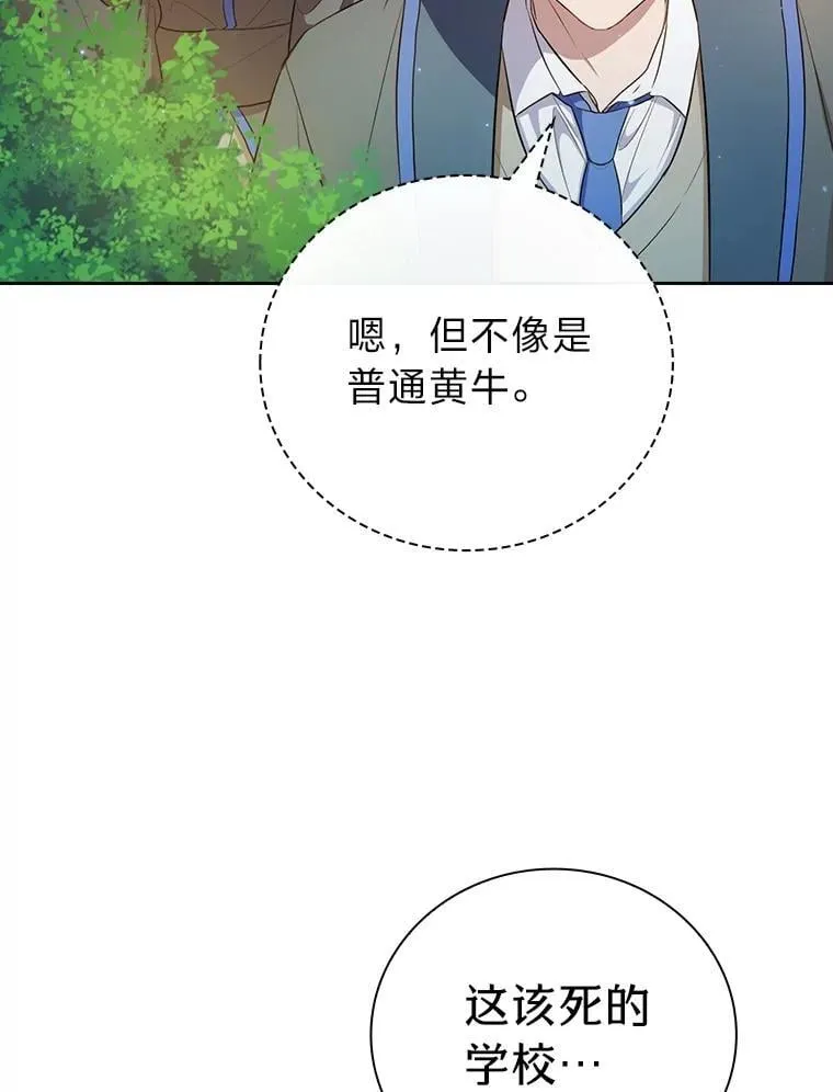 91.对战超牛黄牛61