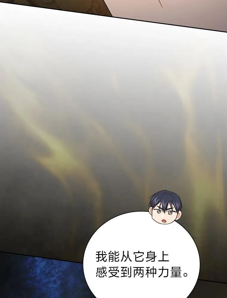 79.精灵黄牛62
