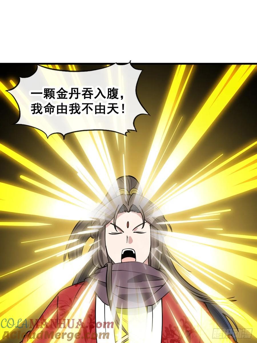 第二百三十二话：好大的金丹24