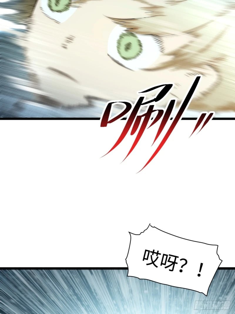 166.责任20